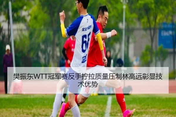 樊振东WTT冠军赛反手拧拉质量压制林高远彰显技术优势