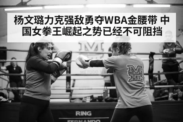 杨文璐力克强敌勇夺WBA金腰带 中国女拳王崛起之势已经不可阻挡